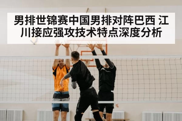 volleyball net block